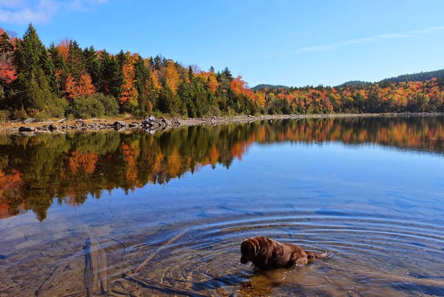 Moose Pond Maine.jpg