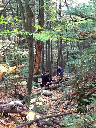 Roberts Farm Preserve Norway Maine 1.jpg
