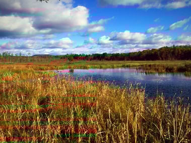 Shephards Farm Norway Maine.jpg