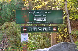 parrisforest1.jpg