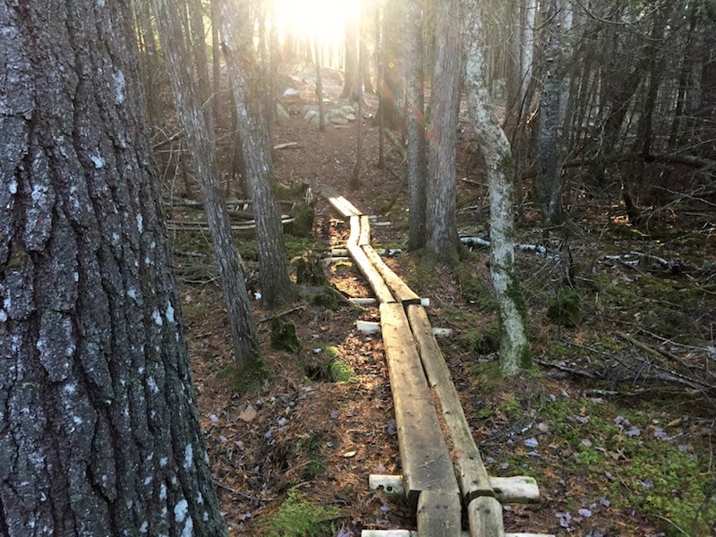 Four Must Experience Trails Near Norway Maine